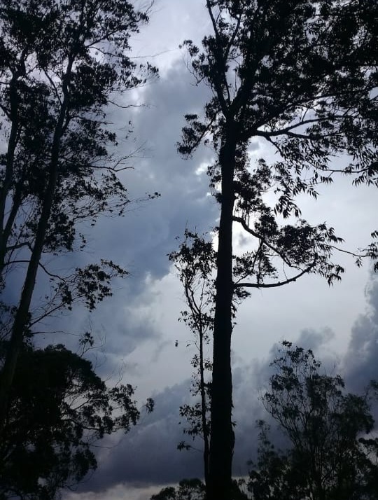 Onde fica Área de Proteção Ambiental Várzea do Rio Tietê: localização, administração e dados do território