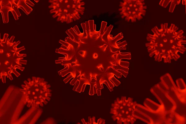 França registra a primeira infecção humana pelo vírus Shamonda no mundo