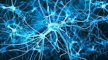 Prêmio Nobel: da talidomida ao Sirius, por que a química das moléculas ‘espelhadas’ importa para os medicamentos