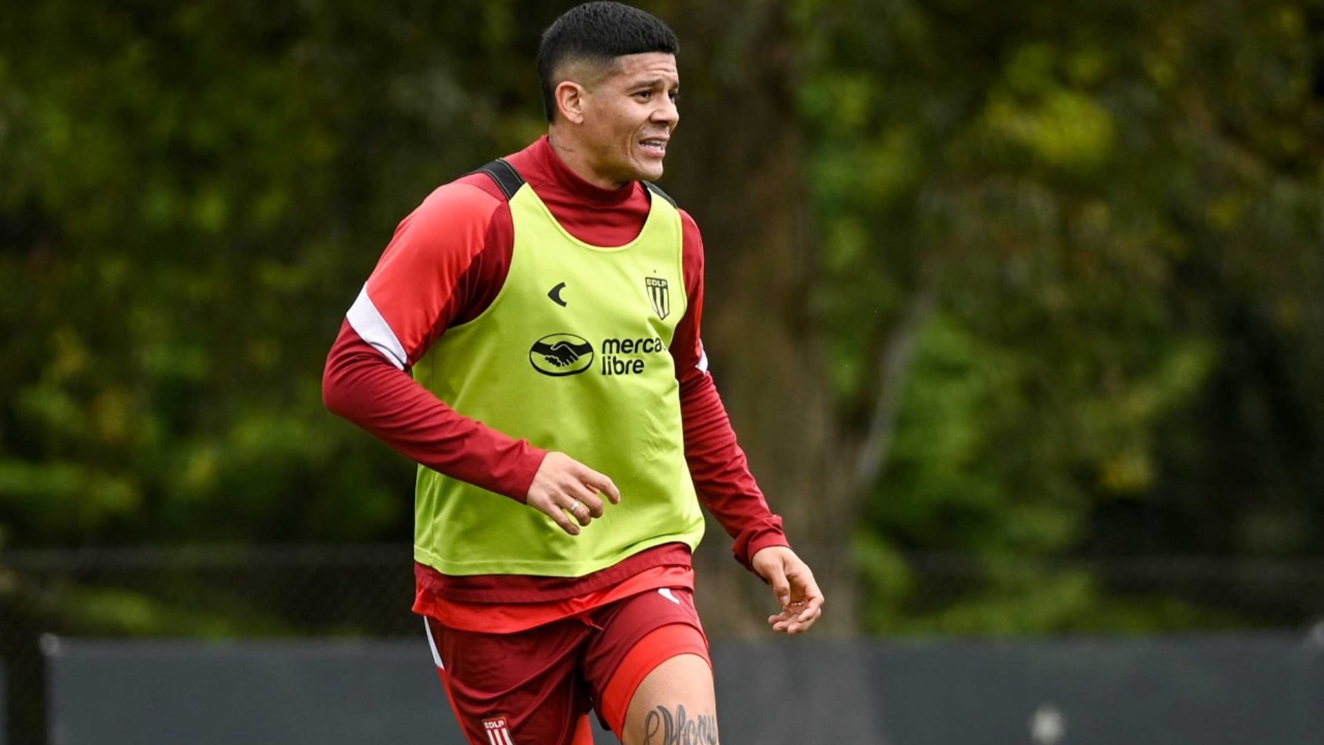 Fifa confirma. Liberou Rojo para jogar. Conmebol já organiza final entre Palmeiras e Estudiantes. Leila ridiculariza briga do Flamengo no tapetão