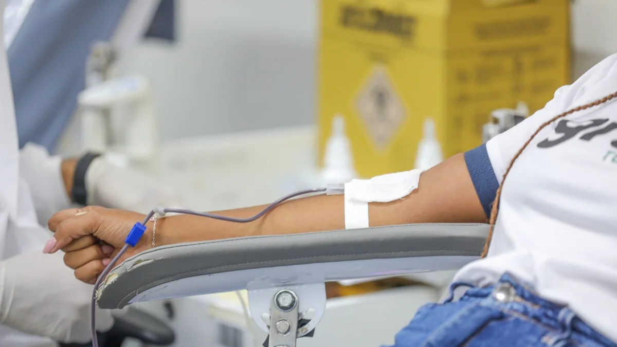 Dia de Finados: bancos de sangue do DF ficarão fechados no feriado