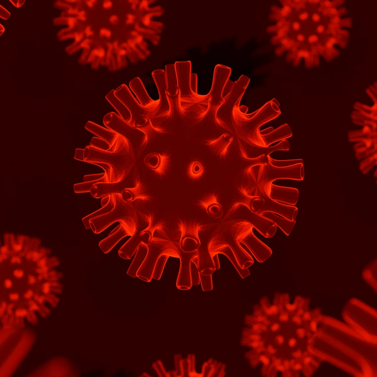 França registra a primeira infecção humana pelo vírus Shamonda no mundo