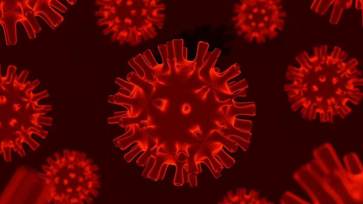 França registra a primeira infecção humana pelo vírus Shamonda no mundo
