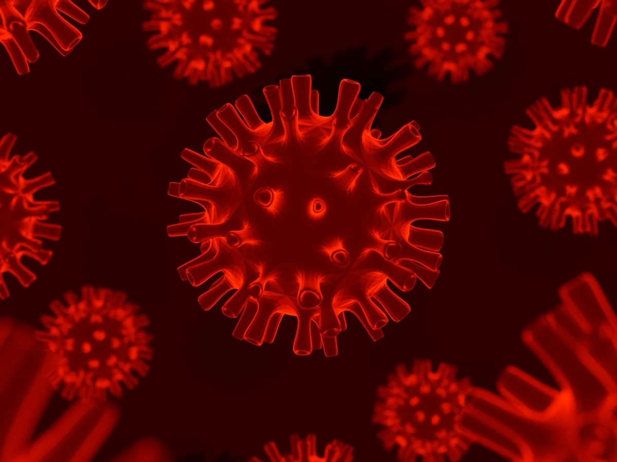 França registra a primeira infecção humana pelo vírus Shamonda no mundo