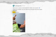 Advec de São Gonçalo