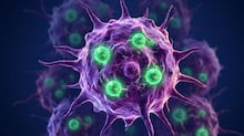 Prêmio Nobel: da talidomida ao Sirius, por que a química das moléculas ‘espelhadas’ importa para os medicamentos
